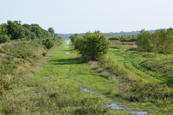 Looking northeast on the Jensen tract of the Riverton Wildlife Area as water fills the marsh on Sept. 13. Given the large amount of smartweed available, state wildlife experts predict this area is set up for a good duck season. | Iowa DNR